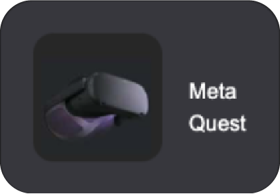 Meta Quest